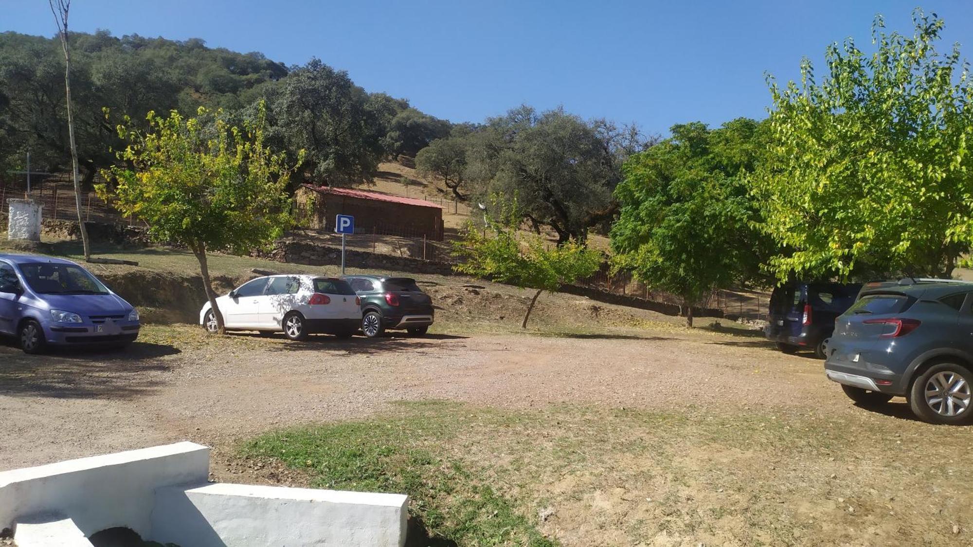 El Olivo *