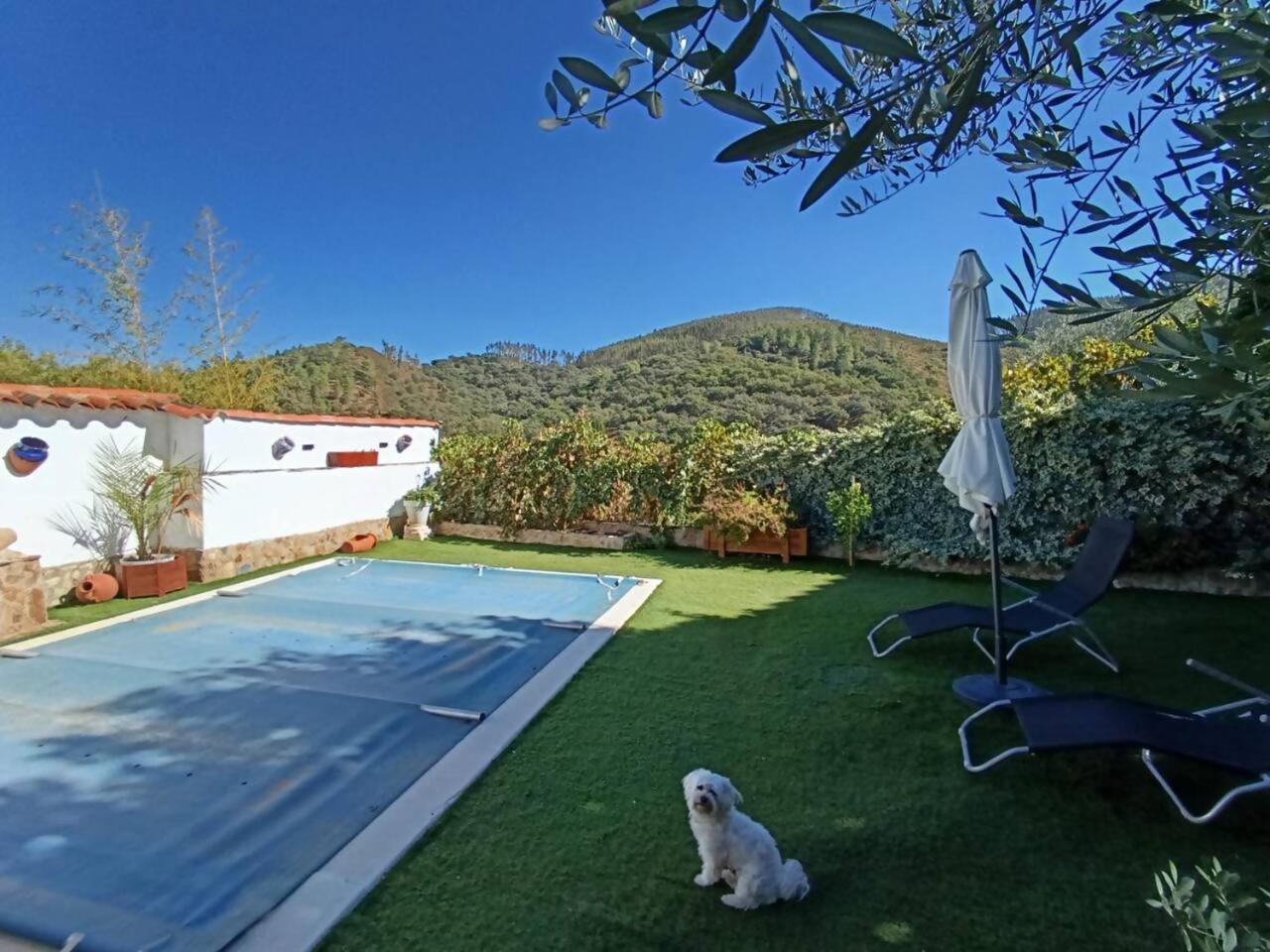 Ferienhaus El Olivo Aracena